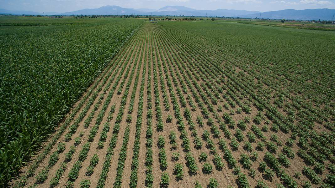 Sadece 73 bin TL’ye arsa fırsatı! Milli Emlak’tan devlet garantili imarlı arazi satışı başladı 2